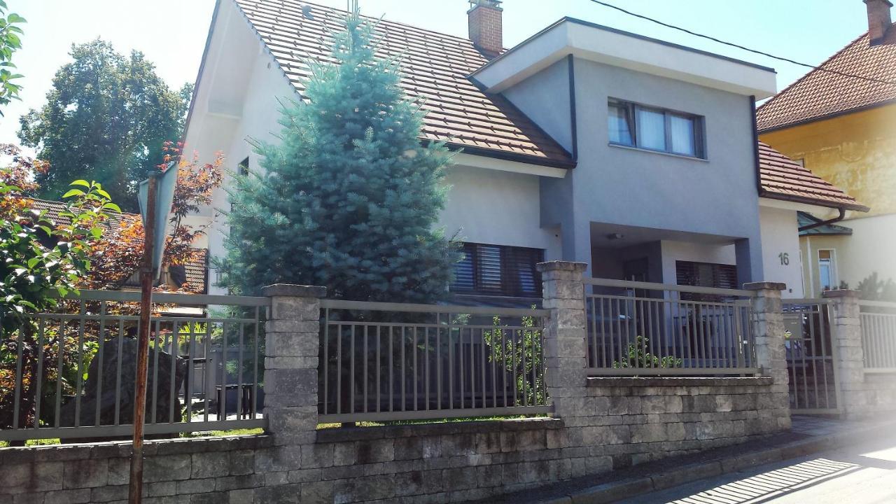 Apartment Emma Ljubljana - Free Parking, Ac, Wifi Extérieur photo