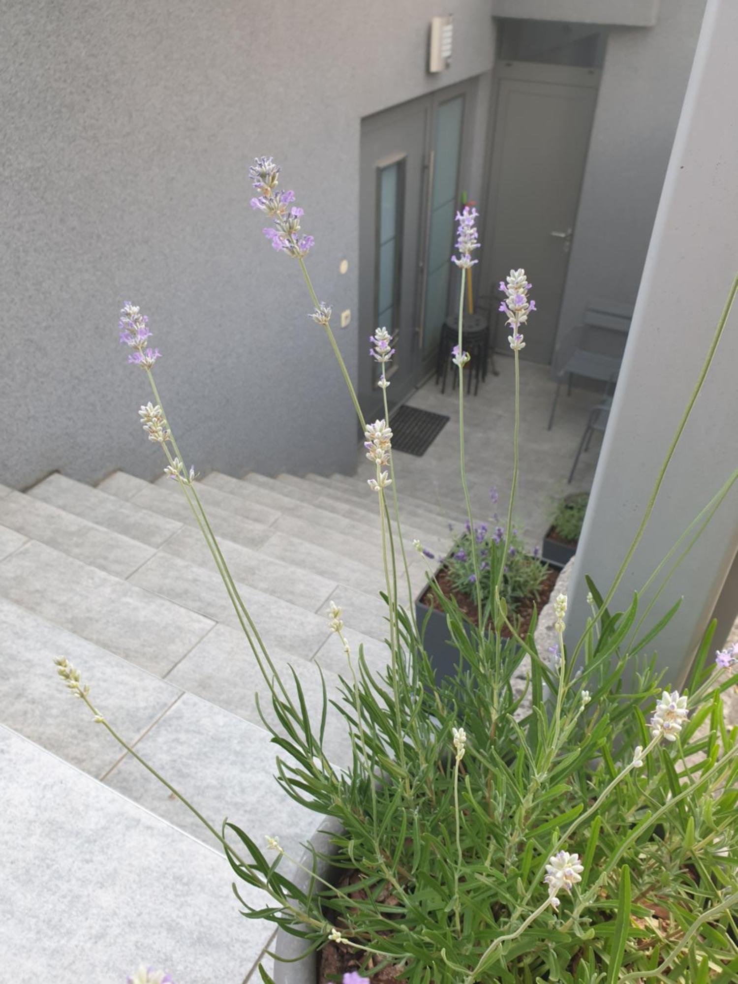 Apartment Emma Ljubljana - Free Parking, Ac, Wifi Chambre photo
